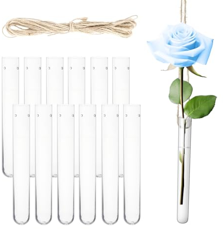 12 Stück 15x100mm Reagenzglas Vase Zum Aufhängen Kunststoff Blumenröhrchen Reagenzgläser für Blumen Reagenzglas mit Loch Fensterdeko Hängend für Hochzeit Kirche Heim Floristikbedarf