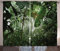 ABAKUHAUS Grün Rustikaler Vorhang, Tropischer Regenwald Wilde, Wohnzimmer Universalband Gardinen mit Schlaufen und Haken, 280 x 175 cm, Dunkelgrün