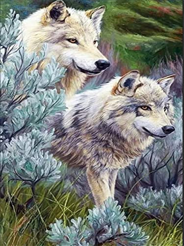 Kreative Puzzles 3000 Stück Wolf Die Puzzles MäDchen Und Jungen Und Eignen Sich FüR Kinder Ab 14 Jahren Fertige Größe 122×81cm
