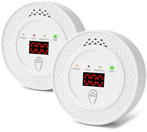 Carbon Monoxide Detector, Battery Powered Carbon Monoxide Alarm, CO Alarm with LCD Display and Audible Warning, CO Detector for Home and RV, Complies with EN 50291 Standard,2PCS (2)