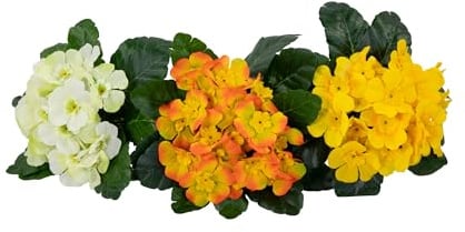 Seidenblumen Roß 3er-Set künstliche Primel in weiß, orange und gelb 22cm PM Kunstblumen Kunstpflanzen künstlicher Primelbusch Schlüsselblume