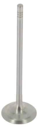 AE V95037 Einlaßventil