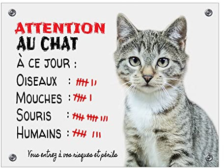 Plaque attention au chat tigré compte ses succès ! panneaux humour pancarte en aluminium