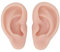 Modèle d'oreille en silicone, modèle souple et flexible gauche et droit pour la pratique du perçage d'oreilles, parties du corps en silicone, moule d'oreille en silicone(Couleur chair moyenne)