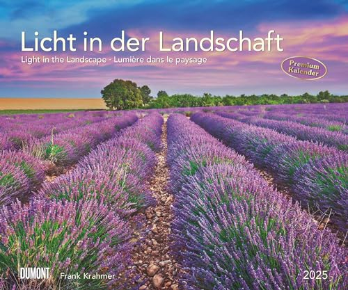 DUMONT - Licht in der Landschaft 2025 Wandkalender, 60x50cm, Fotokunst-Kalender mit beeindruckenden Landschaftsbildern, Kalender mit Bildern aus aller Welt, mit Spiralbindung