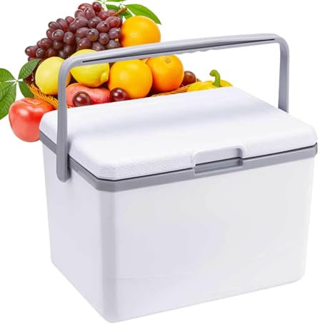 Heladera de hielo para camping, cuba de hielo de viaje, multifuncional, enfriador de hielo portátil de 5 litros, enfriador portátil de camping