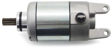 Anlassermotor Motorrad-Anlasser Für CZD250 X-MAX 250 ABS 2018 CZD300 X-MAX 300 ABS 2017 2018 2019 2020 EVOLIS B74-H1890-00 Startermotor