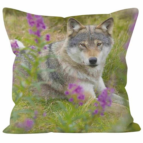 CEVAN Linen Kissenbezüge Indie Kissenhülle Draussen Wolf Outdoor Kissenbezüge Wetterfest Kissenbezug Set Cord Kissenbezüge Sofa Dekor 40x40cm,1Pcs