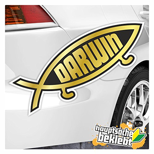 Kiwistar - Autoaufkleber - Darwin Fisch Aufkleber - für Auto, Laptop, Fahrrad, LKW, Motorrad Aufkleber mehrfarbig Sticker Decal 15 x 5 cm