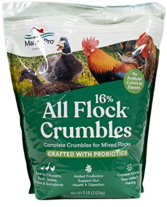 Manna Pro All Flock Crumbles, Crafted with Probiotics for Gut Health & Digestion, 16% Protein for Mixed Flocks with No Artificial Colors or Flavors, Crumbled for Easy Feeding, 8 lbs