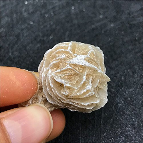 Aitelei Rosa del deserto, per Wicca, Reiki, guarigione con cristalli, in selenite naturale