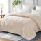 Yebeda Piumino per 4 stagioni, 220 x 240 cm,Trapunta in Microfibra, Piumone per Letto Matrimoniale, Traspirante e Super Morbido per Tutte le Stagioni, Beige