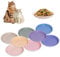 HSIGIO Ceramic Cat Food Bowl, 8 Pack Colorful Cat Feeding Bowls Whisker Friendly, 5.9 Shallow Wide Cute Kitten Plates, Easy to Clean Indoor Feeding Dishes