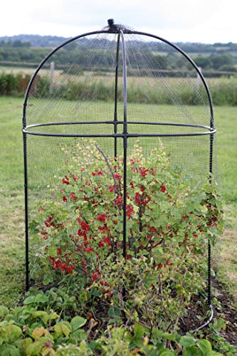 Haxnicks Steel Round Fruit Cage Frame | Bird Netting Plant Protection For Fruit Bushes | Gooseberry Currants Raspberries | Black, 100x100x150cm | Frame050101