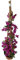 Pianta Bouganvillea Vaso 18cm (mix colori) 1 CANNA