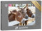 puzzleYOU: Puzzle 48 Teile „DREI neugierige Esel am Zaun“