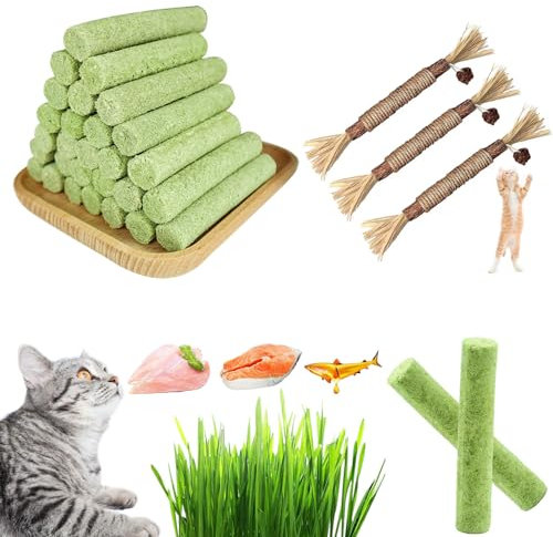 Berdexa-Cat Grass Teething Stick,Cat Grass Sticks for Indoor Cats,Cat Chew Stick for Hairball Removal,Cat Teeth Cleaning Toy (15, Fish)