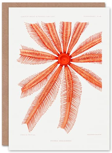 Artery8 Vintage Marine Life Art Card Brisingida Starfish Illustration