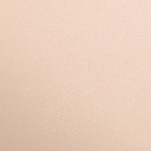 Clairefontaine 397164C Packung (mit 250 Bögen Zeichenpapier Maya, 50 x 70 cm,120g, glatt, ideal für Trockentechnik und Einrahmen) aprikose