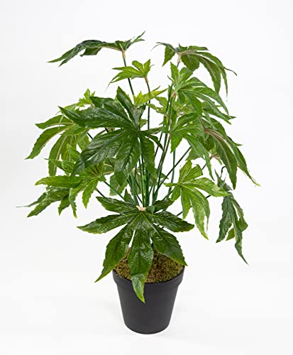 Seidenblumen Roß Hanfpflanze/Cannabispflanze 42cm im Topf JA Kunstpflanzen künstliche Pflanzen Hanf Cannabis Weed