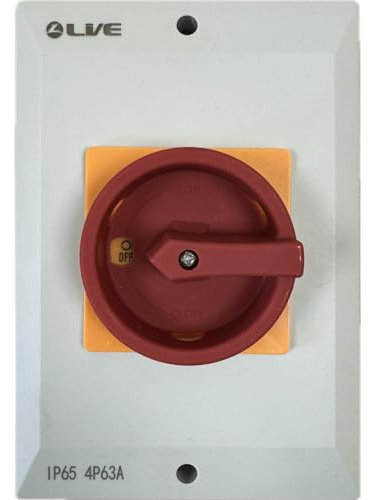 Aislador giratorio de 63 A, 4 polos, CA IP65 - Conmutador RI463