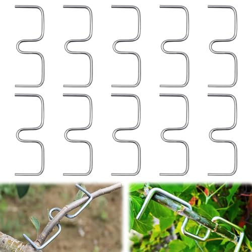 30 Stück Aststütze für Obstbäume,10 cm Metall M Förmiger Astspreizer,Astzieher für Obstbäume,Astzieher Halter,Zweigspreize für Gartenbäume,Astspreizer Obstbaum,für Gartenbäume Obstbaum Aste ﻿ (10CM)