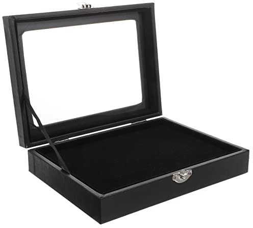NOLITOY Scatola Espositore Trasparente Per Spille e Gioielli Organizer Multifunzionale Protezione Antipolvere e Design Elegante Per Collezionisti Di Medaglie e Spille