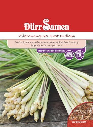 Zitronengras Samen East Indian Zitronrngrassamen ca 50 Korn Küchenkräuter Kräutersamen Saatgut Balkon Garten Hochbeet Kübel Dürr Samen