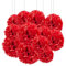 ZOOYOO 12 Stück Papier-Pompons Rot für Party deko,Decken,Wandbehang,Seidenblumen,1 Farbe von 30,5 cm, 25,4 cm