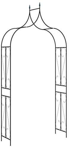 Festnight Arche de Jardin Voûte de Jardin Arche à Rosiers ou Plantes Grimpantes Noir 120x38x258 cm Fer