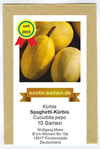 Kürbis - Speisekürbis - Spaghetti-Kürbis - 10 Samen