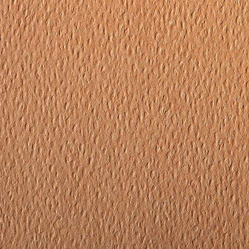 Clairefontaine 93887C Packung (mit 25 Bögen Zeichenpapier Etival Color, DIN A4, 21 x 29,7 cm, 160g, gekörnt, ideal für Trockentechnik und Einrahmen) lachs