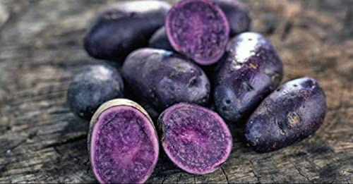 Kartoffeln blau 1kg – Truffe de Chine, violette Gourmet-Kartoffeln mit nussigem Aroma, für Püree, Chips, Bratkartoffeln, Salat & kreative Küche