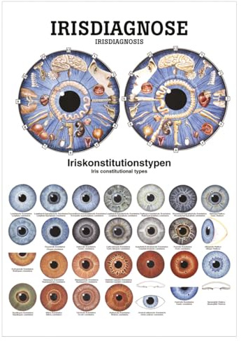 Sport-Tec Irisdiagnose Mini-Poster Anatomie 34x24 cm medizinische Lehrmittel