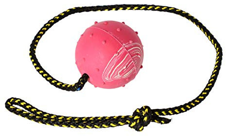 Dingo Gummiball mit Glocke Kordel 60 cm Mittel Trainingsball zum Apportieren 17280