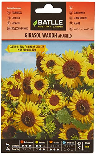 Semillas Batlle Girasol Wahoo Amarillo
