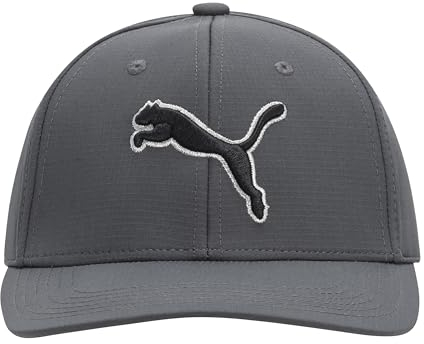 PUMA Unisex-Erwachsene Evercat Dillon Stretch Fit Cap Baseballkappe, dunkelgrau, S/M