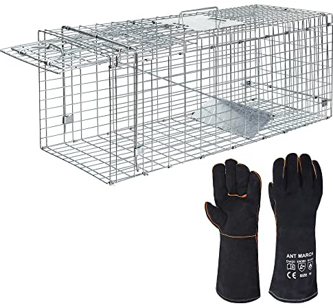ANT MARCH Live Animal Cage Trap 32''x11.5x13 Steel Humane Release Rodent Cage with Gloves for Rabbits, Stray Cat, Squirrel, Raccoon, Mole, Gopher, Chicken, Opossum, Skunk, Chipmunks, Groundhog