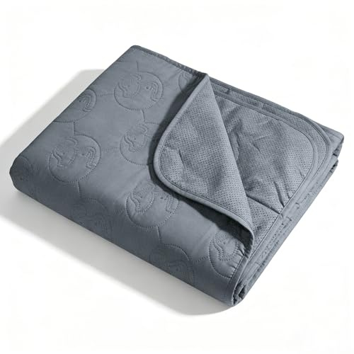 Pawsee Coperta impermeabile per cani, copridivano lavabile per animali domestici, tappetino di protezione per mobili antiscivolo 125 x 75 cm