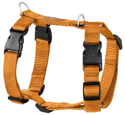 KOCH Hundegeschirr Comfort, mit Klickverschluss am Hals, Made in Germany, 5-Fach verstellbar, Gold/S - 20mm | 45-60cm