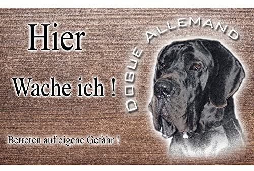 Warnschild Hund oder Warnzeichen Deutsche Dogge 30 cm