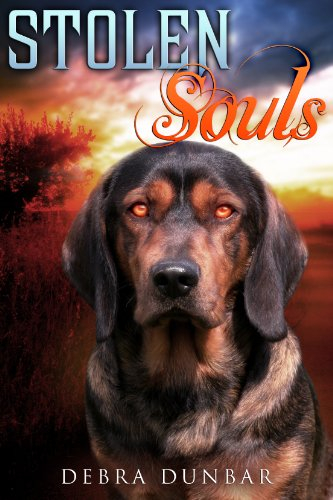 Stolen Souls (Imp World Series) (English Edition)