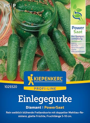 Kiepenkerl Profi-Line Einlegegurkensamen Diamant PowerSaat 1029320 – Gurkensamen, bitterfrei, glatte Früchte, Cornichons, eingelegte Gurken, Gemüsesamen
