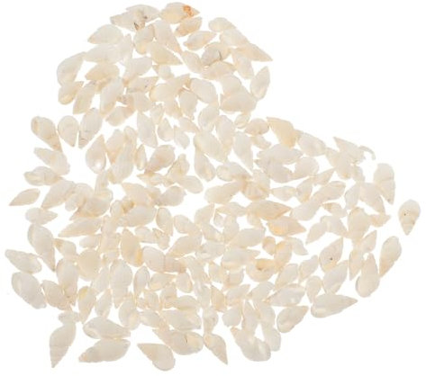 GANAZONO 200pièces Décorations De Naturel Conque pour Aquarium Et Artisanat Coquilles pour Crabes Et Bijoux DIY