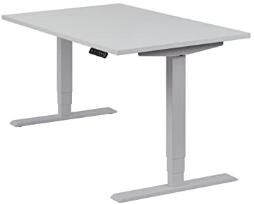boho office® höhenverstellbarer Schreibtisch 120 x 80 cm - Elektrisch stufenlos, 2 Motoren, 3-Fach Teleskop, Memoryfunktion, inkl. Wireless Charger - Homedesk Silber inkl. Tischplatte in Lichtgrau