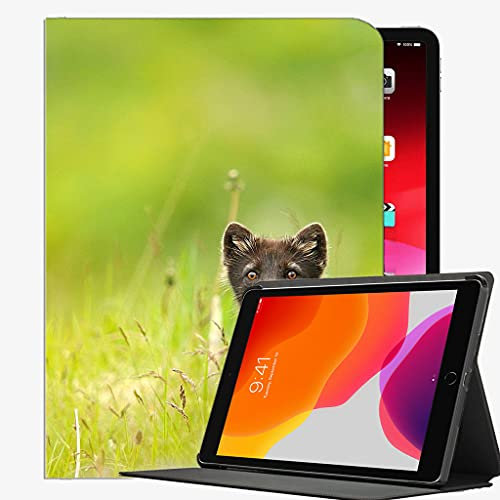 Smart Case per iPad Air 2, erba di campo Denti di leone Sable Occhi cassa sottile copertura di Shell per iPad Air2 9,7 pollici