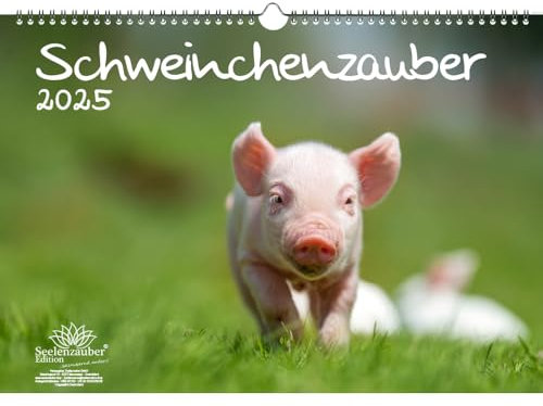 Schweinchenzauber DIN A3 Kalender für 2025 Schweine Schweinchen - Seelenzauber