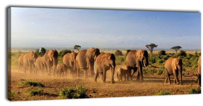 wandmotiv24 Leinwandbild Panorama Nr. 429 Elefantenwanderung 100x40cm, Keilrahmenbild, Bild auf Leinwand, Kilimandscharo, Afrika, Elefant