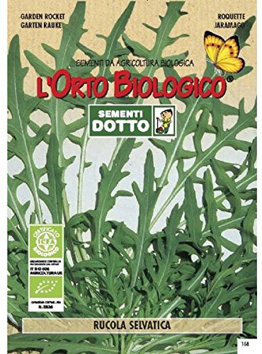 Idroponica Semi biologici di Rucola Selvatica