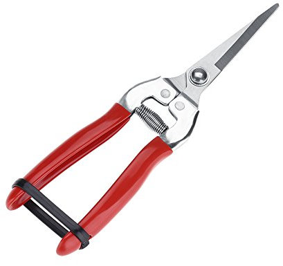 Gartenschere mit Gartenschere 1 Stücke Robuste Obstbaumschere, Bonsai Garten Gartenschere Gartenschere Werkzeug(Gerade)